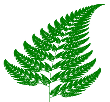 Barnsleys fern